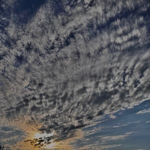 Meet your Posher, Savanna